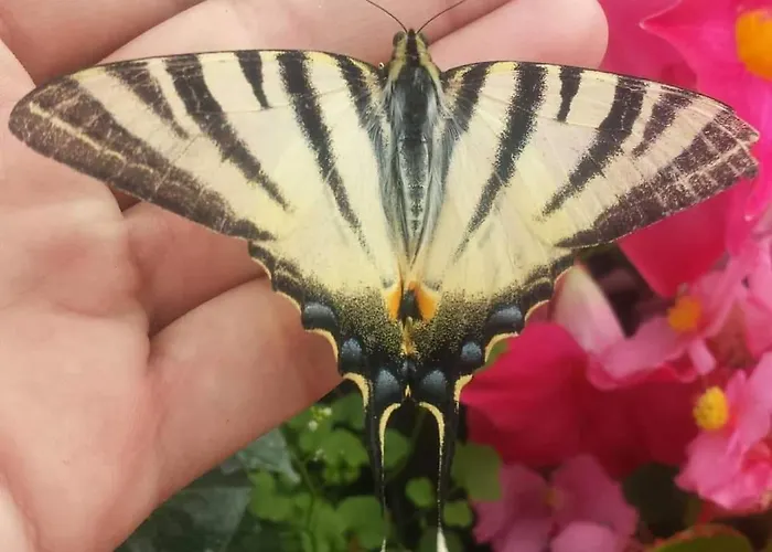 Zadar Appartamento *