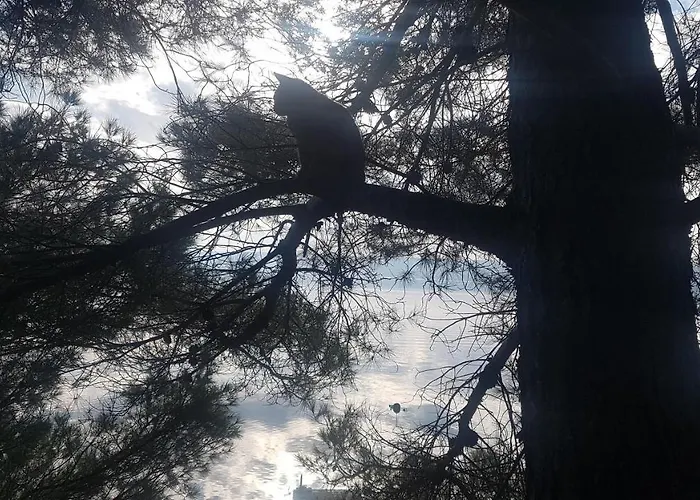 Appartamento Zadar Posedarje