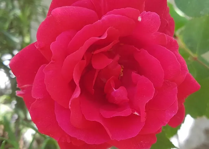 Zadar Appartamento *