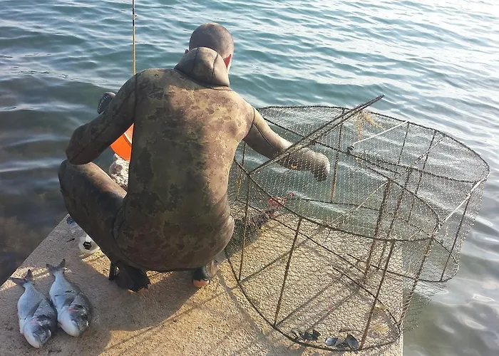 Appartamento Zadar *